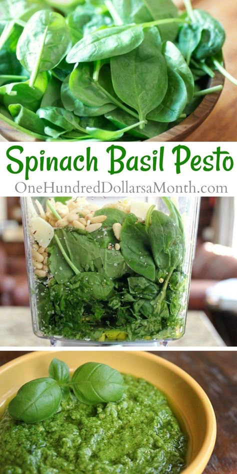 Spinach Basil Pesto - One Hundred Dollars a Month Spinach Basil Pesto, Basil Pesto Recipe, Pesto Dip, Basil Pesto Recipes, Basil Recipes, How To Make Pesto, Homemade Pesto, Pesto Recipe, Pesto Sauce