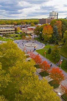 Academic Mall, Stony Brook University, Stony Brook, New York College Information, Binghamton University, Stony Brook University, Res Life, College Search, Stony Brook, College Board, Changing The World, Exchange Student