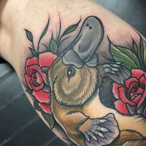 Up close with platypus by Gian Karle from Ink Masters Season 8! Tony Tattoos, Platypus Tattoo, Ink Master Tattoos, Watercolour Tattoos, Tiny Bird Tattoos, Master Watercolor, Tattooed Woman, Z Tattoo, Inspiration Tattoos