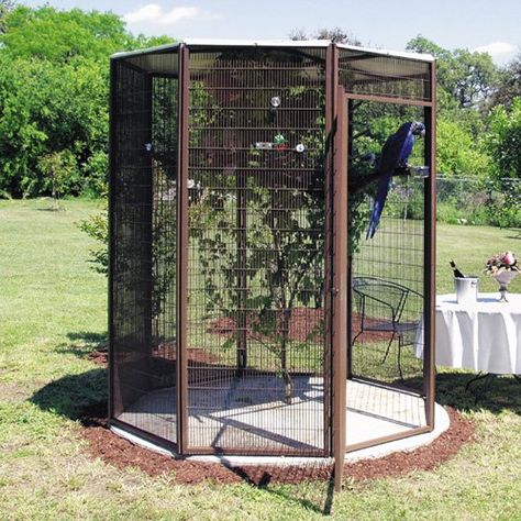 6 ft. Diameter Garden Aviary | from hayneedle.com Peacock Cage, Garden Aviary, Outdoor Aviary, Aviary Ideas, Diy Bird Cage, Pet Bird Cage, Bird Types, Bird House Kits, Bird Aviary