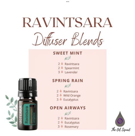 Ravintsara Diffuser Blends, Diffuser Recipes Doterra, Ravintsara Essential Oil, Diffuser Blends Doterra, Ravensara Essential Oil, Esential Oils, Doterra Diffuser, Doterra Diffuser Blends, Essential Oil Diffuser Blends Recipes