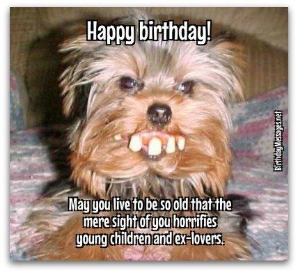 Happy Birthday Humorous, Happy Birthday Wishes For Him, Best Happy Birthday Quotes, Happy Birthday Funny Humorous, Funny Birthday Message, Happy Birthday Wishes For A Friend, Funny Happy Birthday Meme, Funny Happy Birthday Pictures, Funny Wishes