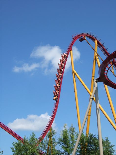 Diamondback photo from Kings Island Diamondback Kings Island, Kings Island Aesthetic, Amusment Parks, King Island, Kings Island Amusement Park, Water Rides, Kings Island, Amusement Park Rides, Cedar Point