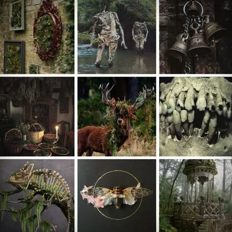 Forest Monster Aesthetic, Moodboard Template Layout, Cottage Core Moodboard, Goblincore Moodboard, Spooky Moodboard, Forest Mood Board, Vulture Aesthetic, Oc Moodboard Aesthetic, Animal Moodboard