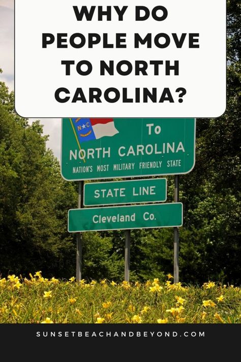 Moving To Wilmington North Carolina, Moving To North Carolina, Living In North Carolina, Wilmington North Carolina, North Carolina Homes, Appalachian Mountains, Why Do People, Real Estate Buying, Down South