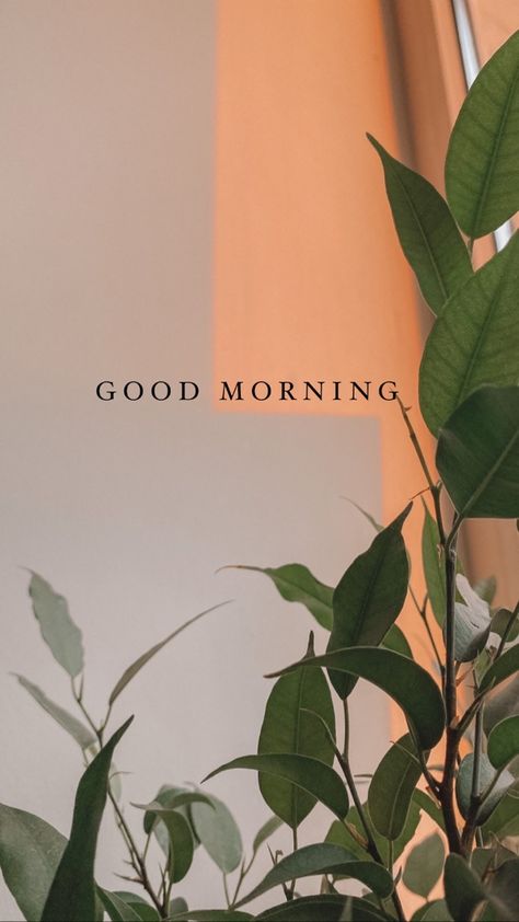 Good Morning Aesthetic Pictures, Good Morning For Instagram Story, Morning Aesthetic Sun, Green Morning Aesthetic, Good Morning Asthetic Picture Quotes, Good Morning Astethic, Good Morning Wallpaper Aesthetic, Morning Pictures Aesthetic, Morning Post Instagram