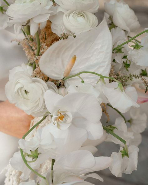 Blush Bridal Bouquet, Santa Barbara Courthouse, Details Photography, Blush Bridal, Santa Barbara Wedding, Floral Studio, Courthouse Wedding, Nontraditional Wedding, Floral Photography