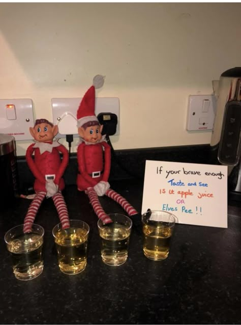 Elf Peeing In Cup Apple Juice, Elf On The Shelf Apple Juice, Elf On The Shelf Pee Or Apple Juice, Elf On The Shelf Peeing, Elf Pee Or Apple Juice, Elf Pee, Smell Christmas, Elf 2023, Elf Stuff