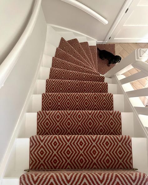 Whenever @mikee.westerling sets her hands on a home design and renovation, she brings smiles to families. This recent project, however, earned the approval of the smallest yet crucial family member: dachshund Jip🐾 Whilst expert fitter Dave, worked on the stair runner, he had a dedicated little observer. Jip watched closely from the bottom of the stairs, comforted by the woolly offcuts. So touched by Jip’s presence, Dave even made a tiny mat just for him. Safe to say, they’re friends for life... Friends For Life, Stair Runner, House Inspo, For Life, Hands On, Home Design, Home Interior Design, House Interior, Stairs