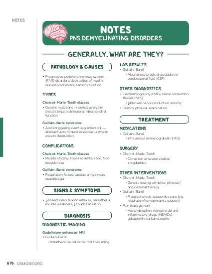 PNS Demyelinating Disorders Notes: Diagrams & Illustrations | Osmosis Demyelinating Disease, Teeth Correction, Nerve Conduction Study, Guillain Barre Syndrome, Peripheral Nervous System, Muscle Atrophy, Mechanical Ventilation, Cerebrospinal Fluid, Diagnostic Imaging