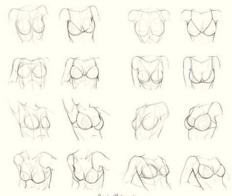 Female Anatomy Reference, Drawing Female Body, Female Drawing, Body Drawing Tutorial, Human Anatomy Art, Anatomy Sketches, Body Reference Drawing, Body Anatomy, Anatomy Drawing