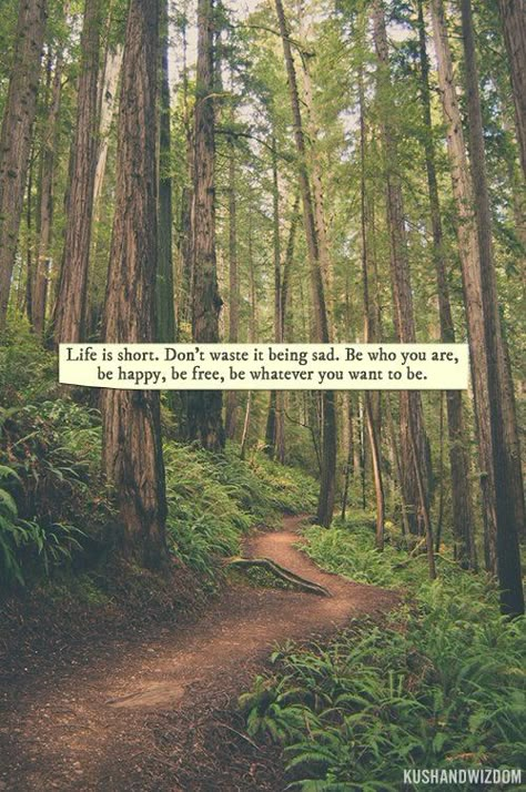 10 Inspirational Quotes Of The Day (464) Happy Hippie Quotes, Citation Nature, Citation Force, Hippie Quotes, Quotes Tumblr, Nature Green, Super Quotes, Trendy Quotes, Nature Quotes