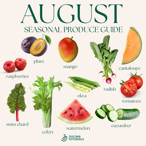 Best Prebiotic Foods, Seasonal Produce Guide, Okra And Tomatoes, Prebiotic Foods, Vegetable Benefits, Food Health Benefits, Juicing Benefits, Seasonal Produce, Healthy Food Facts