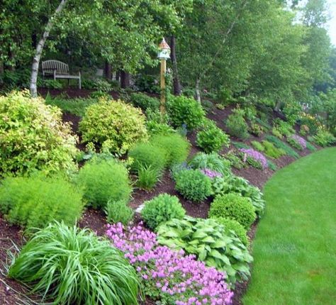 Backyard Hill Landscaping, Sloped Backyard Landscaping, Landscaping A Slope, Landscaping On A Hill, Sloped Yard, Hillside Garden, Sloped Backyard, Hillside Landscaping, Garden On A Hill