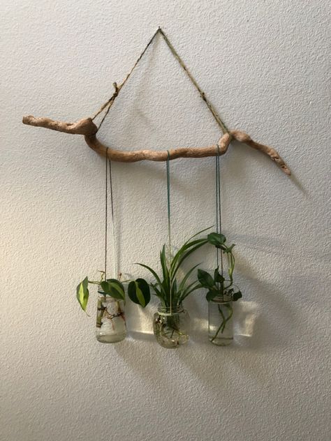 Plant Craft Ideas, Cheap Ways To Decorate Your House, Plant Hanging Ideas Diy, Hanging Plants Diy, Plant Diy, Gardening Decor, Diy Macrame Plant Hanger, Hanging Plants Indoor, Diy Plant Hanger