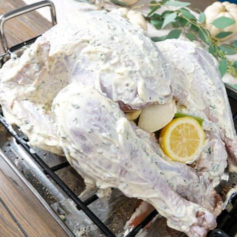 Mayo Covered Turkey, Mayonnaise Roasted Turkey Recipe, Mayonnaise On Turkey, Turkey Seasoning With Mayo, Turkey Recipes Mayonaise, Mayonnaise Rubbed Turkey, Turkey Recipes With Mayonnaise, How To Cook A Turkey With Mayo, Mayonnaise Roasted Turkey