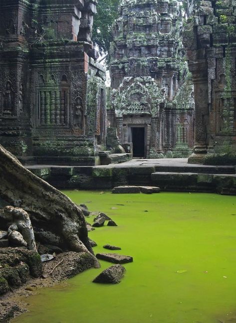 Ta Prohm Temple, Ta Prohm, Ancient Temple, Halong Bay, Siem Reap, Ancient Temples, Angkor Wat, Phnom Penh, Ancient Architecture