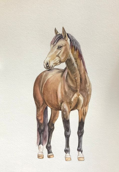 ❤   This is real hand painted  ❤ "BROWN HORSE" These original artwork is in a single copy! This is original watercolor painting.  Dimensions:  (8,3x11.7 inches) (21x29,7 centimeters)   If you want to decorate your home, the kitchen, living room or nursery with an original watercolor painting - is for you. Let these artworks delight you and your friends, it can also be a great gift.   💌 Production time is 1-2 days on average;  Shipping time is 5-18 days. 💝 100% customer satisfaction is my goal. Horse Portrait Painting, Horse Drawing Watercolor, Horse Watercolor, Watercolor Horses Easy, Brown Paint Horse, Horse Head Watercolor, Brown Horse Painting, Watercolor Horse Painting, Painted Horses