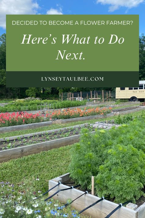 So you found the space to grow, amended and prepared the soil, and decided what to grow. But now what? Where do you find your customers? How do you keep your income consistent? And how do you maintain a work/life balance? Here are five tips I want to share with you to help you build a successful flower farming business. Garden Consulting Business, Most Profitable Plants To Grow, Flower Farming Business Plan, Starting A Flower Farm, Florist Business Plan, Agritourism Farms, Backyard Nursery, Florist Business, Roadside Stand