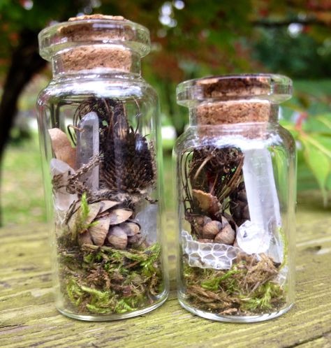 Nature's Curio Jars, made by Sam Lakin Nature Jar Date, Nature Jar, Green Witchery, Creepy Crafts, Curiosity Box, Witches Jar, Oddities Decor, Crafts With Glass Jars, Fall Market