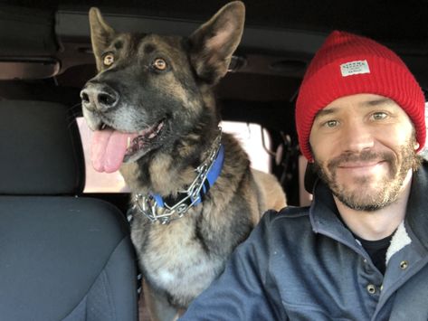 Tom Pelphrey, Imaginary Boyfriend, Tom Hardy, Shepherd Dog, German Shepherd, Famous People, Actors, Google Search, Human