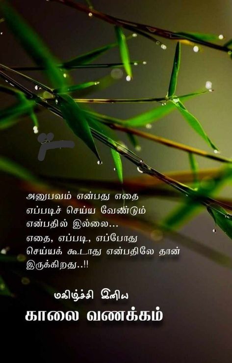 Tamil Wishes, Flowers Quotes, Reality Of Life Quotes, Good Morning Flowers Quotes, Happy Good Morning Quotes, Good Morning Friends Quotes, Photo Album Quote, Thinking Quotes, Reality Of Life