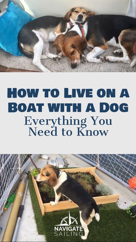 Living On Boat, Live On A Boat, Sailboat Living Boat Life, Sailboat Living Interiors, Sailboat Hacks, House Boat Living, Living On Land, Sailing Lifestyle, Sailing Around The World