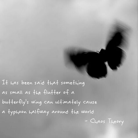 Chaos Theory Butterfly, Chaos Theory Quotes, Tattoo Small Quotes, Butterfly Effect Theory, Leadership Challenge, Theory Quotes, Tvd Quotes, Citizen Of The World, Tattoo Butterfly