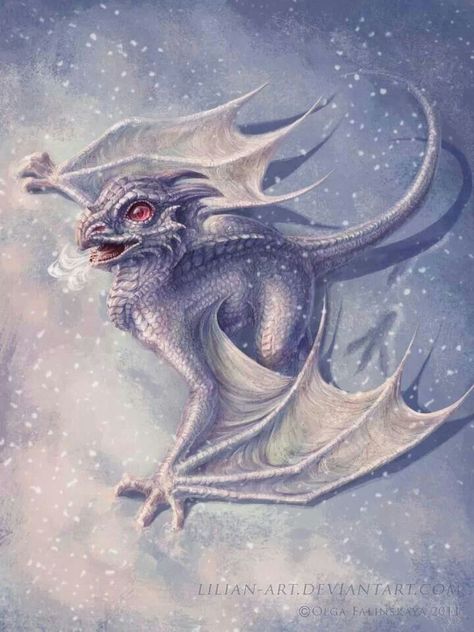 Baby dragon More Snow Dragon, Dragon Dreaming, Baby Dragons, Small Mammals, Fantasy Dragons, Ice Dragon, Here There Be Dragons, Cool Dragons, Fairy Dragon