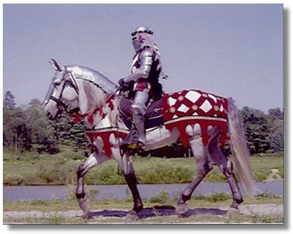 Medieval War Horses | horse lovers in the world! This exciting event will feature medieval ... Medieval Horses, Horse Barding, Pony Costumes, Horse Armour, Lord Of The Rings Online, Model Costume, Mounted Archery, Horse Costume, Medieval Horse