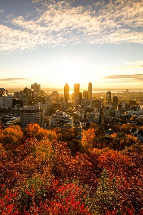 Montreal's beautiful view - fun city! Montreal Canada Photography, Mcgill Aesthetic, Trippie Art, Montreal Wallpaper, Canada Aesthetic, City Portraits, City Sunrise, Sunrise City, Canada Map