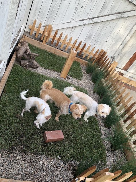 Outdoor Dog Toilet Area, Outdoor Dog Run Ideas, Dog Garden Area, Small Yard For Dogs, Dog Toilet Outdoor, Doggy Potty Area Outdoor, Small Dog Potty Area Outside, Small Dog Outdoor Area, Outdoor Puppy Potty Area