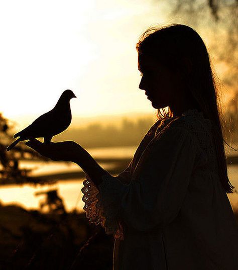 She often likened herself to the fragile nature of a tiny...  "Bird" by Tina Baker (~Tina Louise~ via Flickr) Shadow Silhouette, Slaap Lekker, Arte Inspo, Foto Art, Light And Shadow, Photography Inspiration, Human Silhouette, Beautiful Pictures, Fairy Tales