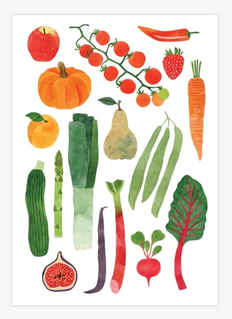 Egg Carton Illustration, Fruit And Veg Illustration, Vegetable Mural, Veggie Drawings, Vegetable Doodles, Vegetable Collage, Veg Illustration, Veggies Drawing, Ingredient Illustration