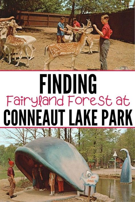 Revisiting the Defunct Storyland Park Conneaut Lake Park, Storybook Forest, Nursery Rhyme Characters, Lincoln Highway, Abandoned Amusement Park, Jonah And The Whale, My First Love, Children Park, Lake Park