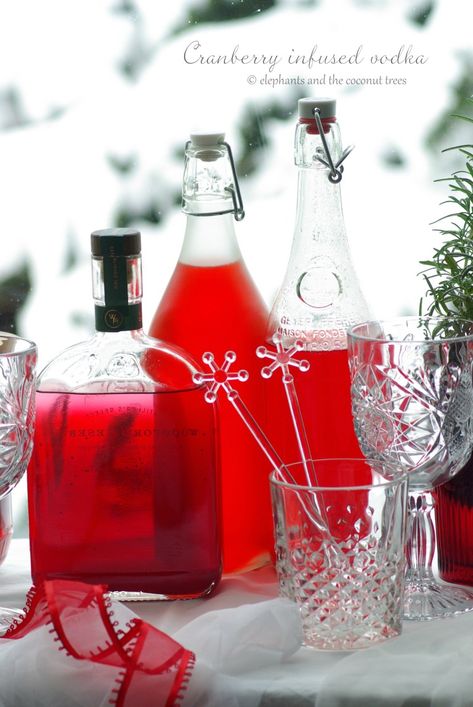 Cranberry infused vodka | Christmas cocktail ideas - elephants and the coconut trees Christmas Cocktail Ideas, Christmas Cocktails Vodka, Vodka Cranberry Cocktail, Large Glass Bottle, Raspberry Mojito, Cranberry Vodka, Easy Homemade Gifts, Cranberry Cocktail, Cocktail Ideas