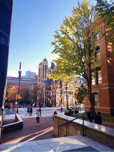 #ivyleague #studying #Upenn #UniversityofPennsylvania #studymotivation #collegecampus #ivyleagueaesthetic U Penn Campus, Pretty College Campus, University Of Pennsylvania Aesthetic, Upenn University Aesthetic, Upenn Dorm, Upenn Aesthetic, Pretty Colleges, Upenn University, Upenn Campus