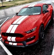 mustang-rojo-redwhite-2015-rain Red Ford Mustang, Ford Mustang 2016, Mustang Gt 350, Ford Mustang Classic, Red Mustang, Shelby Gt350, Ford Mustang Boss, Ford Mustang Car, Mustang Boss