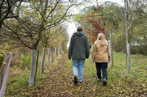 Why Walking and Talking Therapy Works Difficult Conversations, Getting Out, Walking, It Works