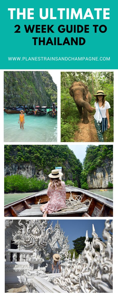 The Ultimate 2 Week Guide to Thailand - Planes, Trains and Champagne Thailand Destinations, Thailand Travel Destinations, Weekend Market, Elephant Nature Park, Koh Phi Phi, Thailand Itinerary, Floating Market, White Temple, Thailand Travel Tips