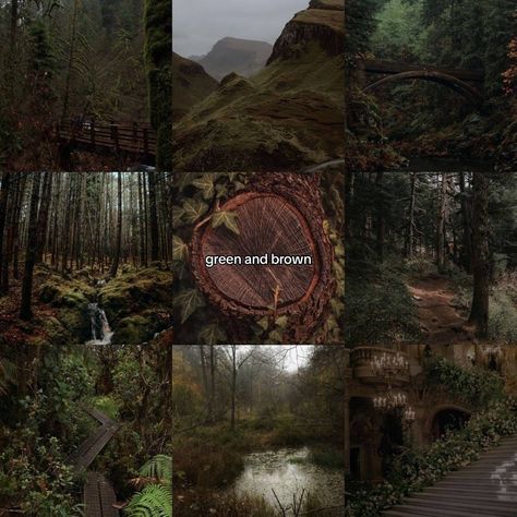 Vintage Green And Brown Aesthetic, Mountaincore Aesthetic, Jin Enlistment, Aesthetic Green And Brown, Brown Green Aesthetic, Green Brown Aesthetic, Green And Brown Aesthetic, Faerie Aesthetic, Green Academia