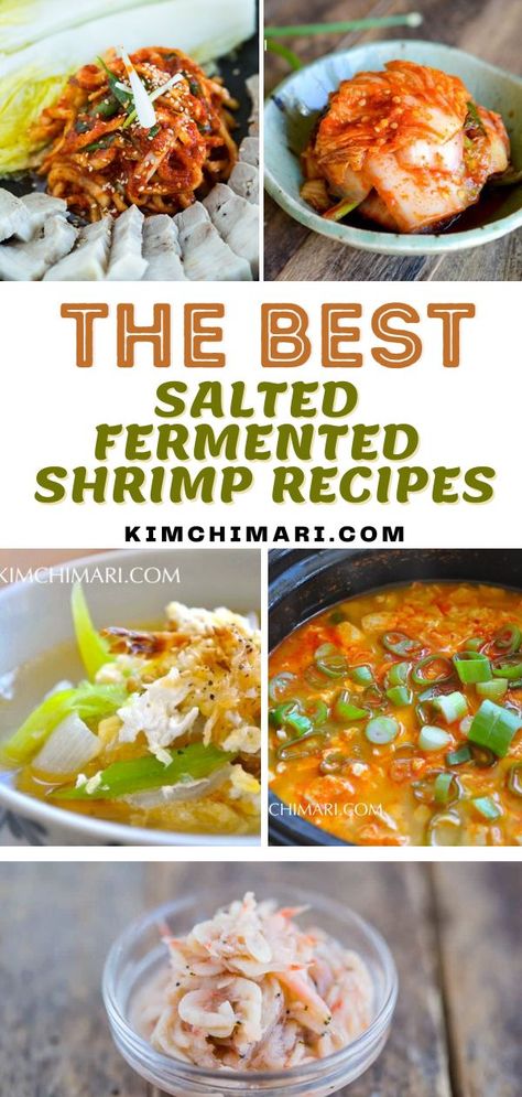 I have assembled The Best Salted Fermented Shrimp Recipes for you to enjoy. Saeujeot is an ingredient in Korean cooking that is made by salting and fermenting tiny shrimps over many months. It is a well-known and an essential ingredient in making Kimchi, but you can actually use it in a variety of other dishes and it helps to greatly deepen the flavor! Salted Shrimp Recipe, Korean Shrimp Recipe, Shrimp Sauce Recipes, Kimchi Pork, Kimchi Cabbage, Making Kimchi, Salted Shrimp, Easy Korean Recipes, Shrimp Sauce