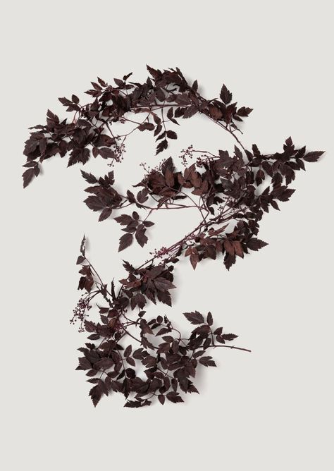 PRICES MAY VARY. Decorative Plum Garland: Add a touch of nature-inspired elegance to your home decor with this stunning plum purple Cimicifuga Ramosa leaf garland Realistic Design: The incredibly realistic Hillside Black Beauty leaves have a dramatic, rich hue that complements any autumn color palette or fall design Versatile Usage: Perfect for indoor or sheltered outdoor use, this garland is ideal for mantels, centerpieces, and wedding tablescapes Quality Materials: Made of 40% fabric, 30% PE p Gothic Manor, Autumn Color Palette, Autumn Interior, Faux Branches, Fall Leaf Garland, Fall Stem, The Spruce, Fall Mantle, Everyday Decor