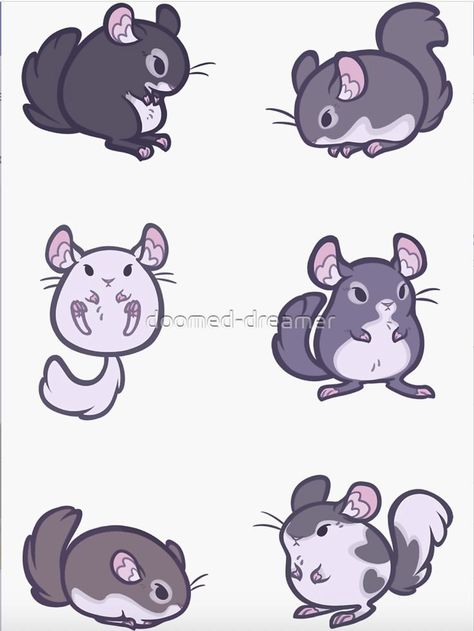 Chinchillas by doomed-dreamer How To Draw A Chinchilla, Doodle Animals Cute, Chinchilla Character Design, Chinchilla Tattoo, Kawaii Chinchilla, Cartoon Chinchilla, Chinchilla Drawing, Kawaii Animal Drawings, Cute Animals Drawings