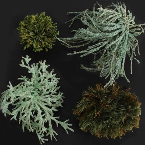 Felted Sculptures Fiber Art, Moss And Lichen Embroidery, Nature Inspired Embroidery, Moss Embroidery Tutorial, Amanda Cobbett, Lichen Embroidery, Lichen Art, Moss Embroidery, Embroidery Forest