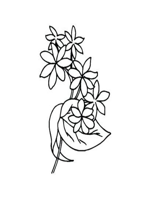 Free Jasmine Coloring Pages. Free printable Jasmine Coloring Pages For kids download and print Jasmine Flower Outline, Jasmine Flower Drawing, Jasmine Coloring Pages, Andrew Gray, Jasmine Drawing, Flower Tattoo Stencils, Clip Art Library, Coloring Pages Free Printable, Flower Outline