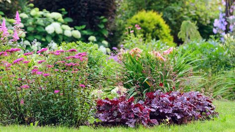 Heuchera Garden Ideas, Growing Hydrangeas, Coral Bells, Garden On A Hill, Beautiful Flowers Garden, Herbaceous Perennials, Tiny Flowers, Companion Planting, Growing Flowers