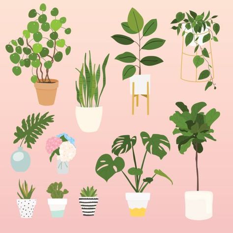 House Plant Reference  We like the tall leafy plant in the white stand with the wooden legs as well as the big plant underneath it with the half yellow vase. Plants For Apartments, 달력 디자인, Plant Vector, Best Plants, Best Indoor Plants, Plant Painting, Plant Drawing, House Plants Decor, House Plants Indoor