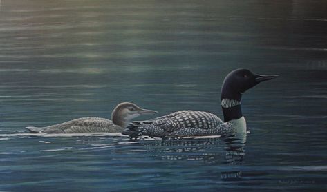 Robert Bateman Muskoka Lake Loons Robert Bateman, Common Loon, Lake Scene, Water Landscape, Fabric For Sewing, Wildlife Artists, By The Lake, Fabric Panel, Mountain Art