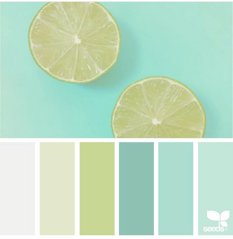 3color Palette, Seeds Color, Color Boards, Color Board, Kitchen Colour Schemes, West Bay, Color Chip, Design Seeds, Color Palette Design